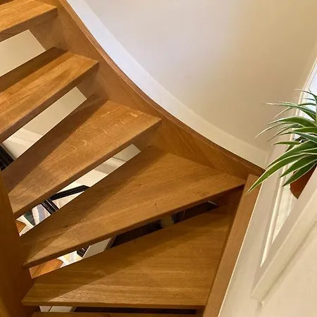 公寓 Dudenhaus / Anno 1554 / Am Brauhaus Zwiebel 索斯特